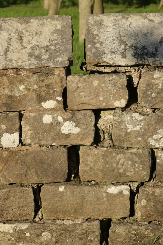 Stone Wall Repair in Wallingford, CT
